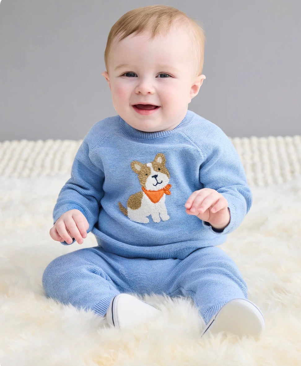 Baby Boys Puppy Sweater Set