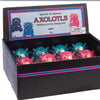 Sparkle & Squeeze Axolotls