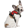 Ncaa Georgia Bulldogs Front Clip Pet Harness