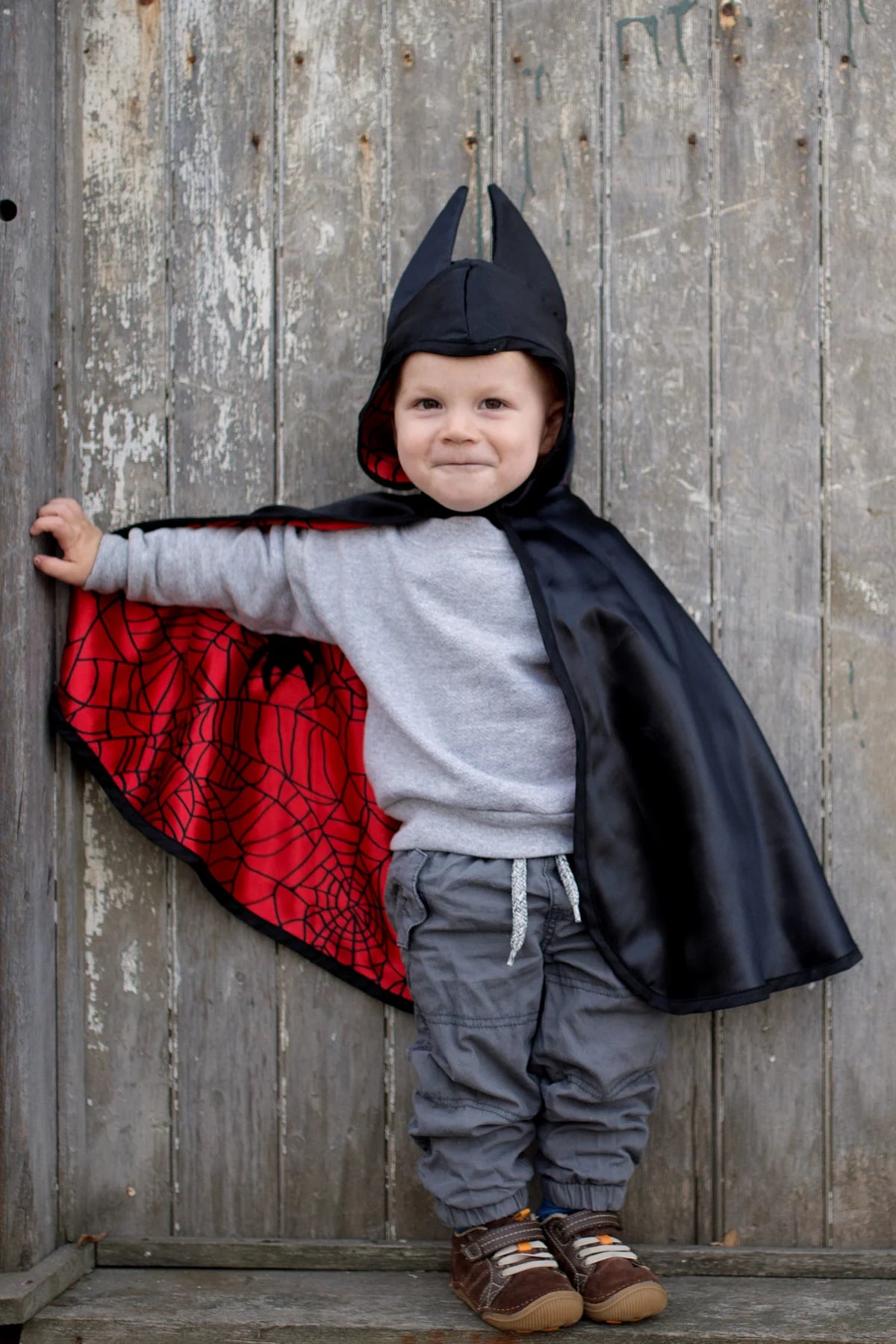 ToddlerSpider Bat Reversible Cape