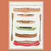 Boys' Short Sleeve Cotton T-shirt in Brandied Melon with Canoe Art