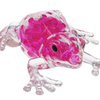 Beaded Squish & Squeeze Frogs