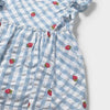 Baby Girl Blue & White Gingham Strawberry Appliqué Dress