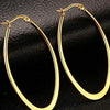 Oval hoop Earrings
