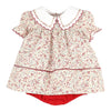 Sophie & Lucas Cranberry Crush Float Print Dress