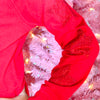 Paperflower Red Star Rhinestone Crop Graphic Sweatshirt