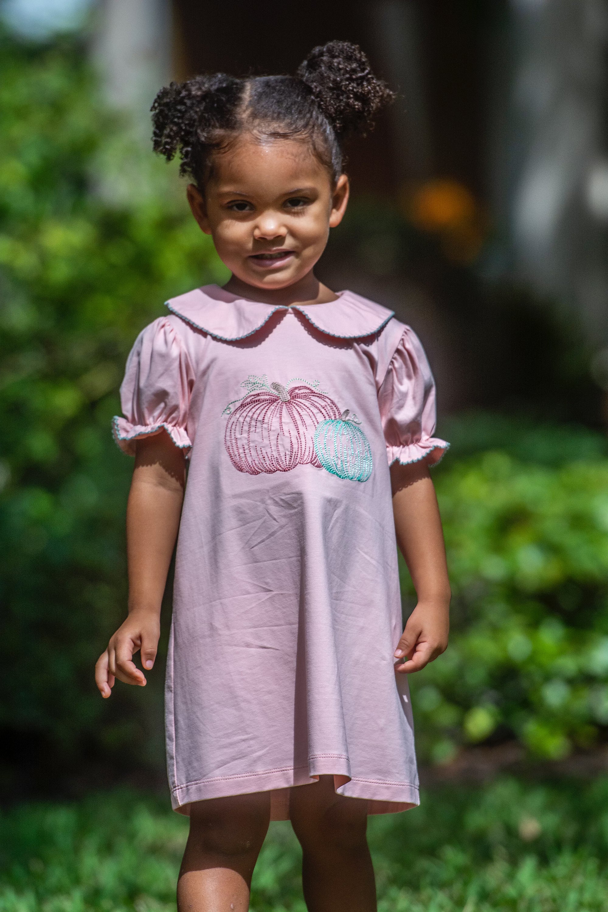 Three Sisters Pumpkin Embroidery Dress