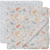 Swaddle Blanket Sets Roarsome