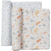 Swaddle Blanket Sets Roarsome