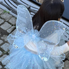 Iridescent Celestial Fairy Set