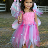 Pink Or Green Butterly Dress With Wings & Wand