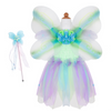 Pink Or Green Butterly Dress With Wings & Wand