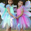 Pink Or Green Butterly Dress With Wings & Wand
