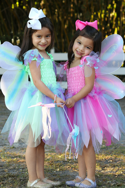 Pink Or Green Butterly Dress With Wings & Wand