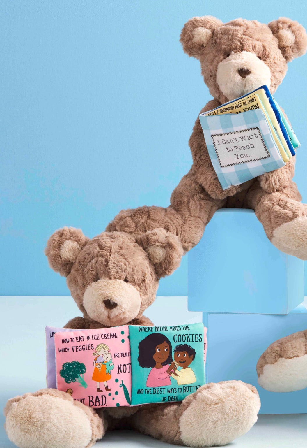 Mud Pie: Big Sister / Big Brother Book & Bear Set